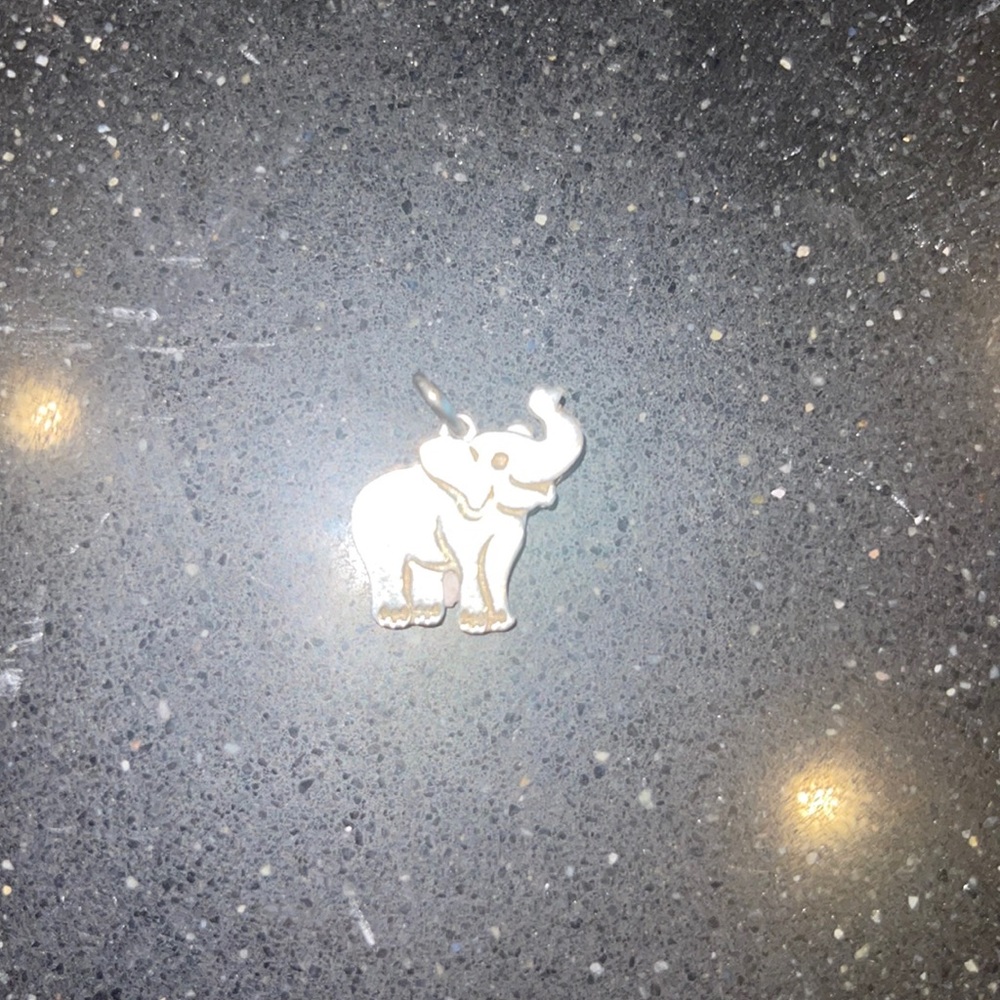 I bought this charm to hang on my Tiffany’s necklace or charm bracelet.